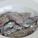 Отель Restaurante Loureiro