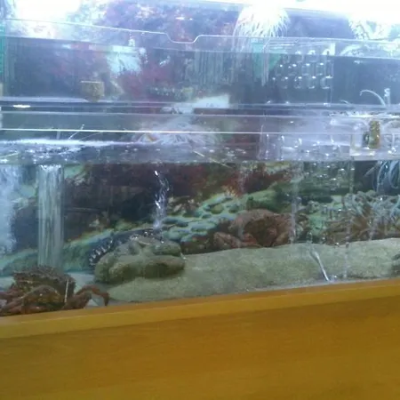 Restaurante Loureiro Hotel *