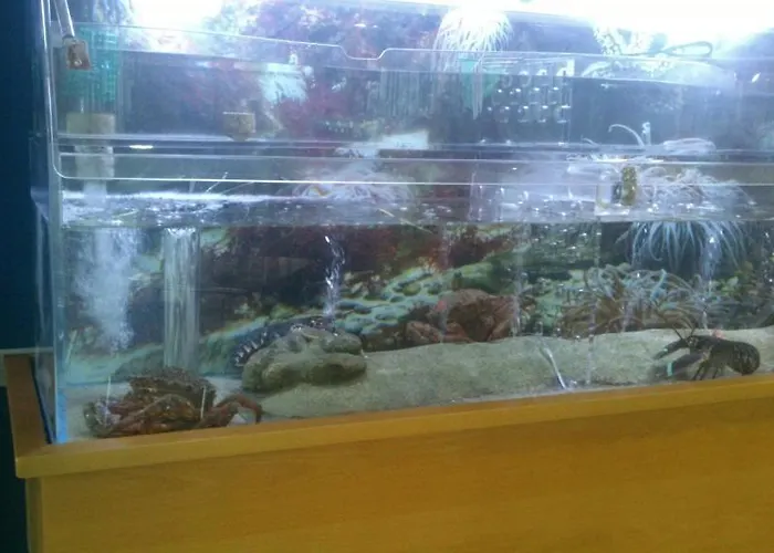 Restaurante Loureiro Hotel *